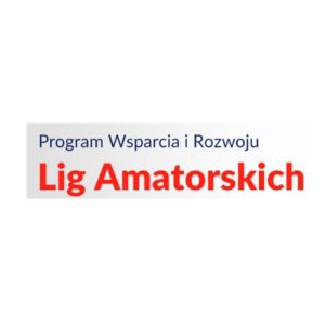 DS.pl-logo-ligi-amatorskie